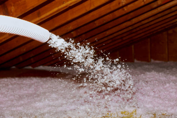 Best Affordable Insulation Services  in Port Reading, NJ