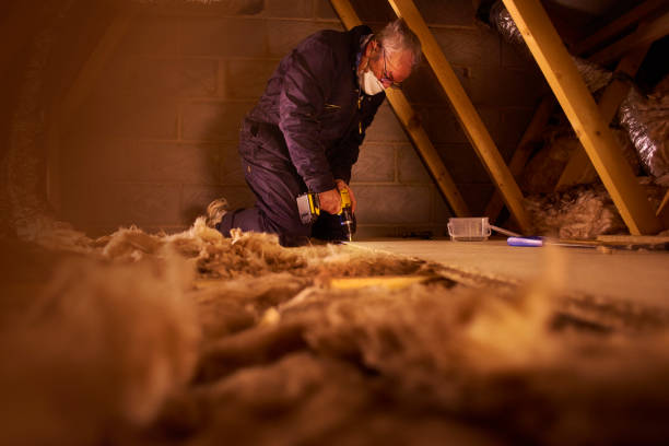 Best Cellulose Insulation  in Port Reading, NJ